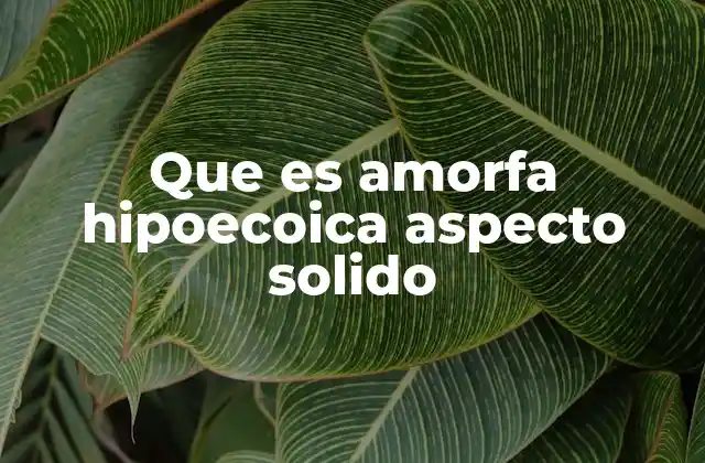 Que es Amorfa Hipoecoica Aspecto Solido