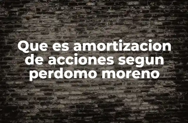 Que es Amortizacion de Acciones Segun Perdomo Moreno