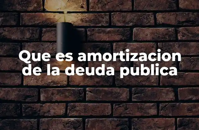 Que es Amortizacion de la Deuda Publica