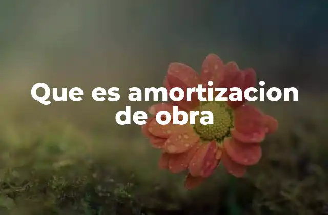 Que es Amortizacion de Obra