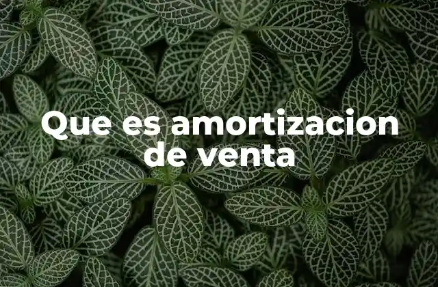 Que es Amortizacion de Venta