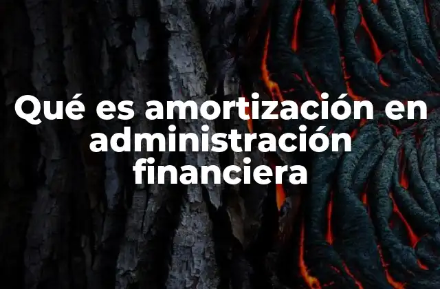 Qué es Amortización en Administración Financiera