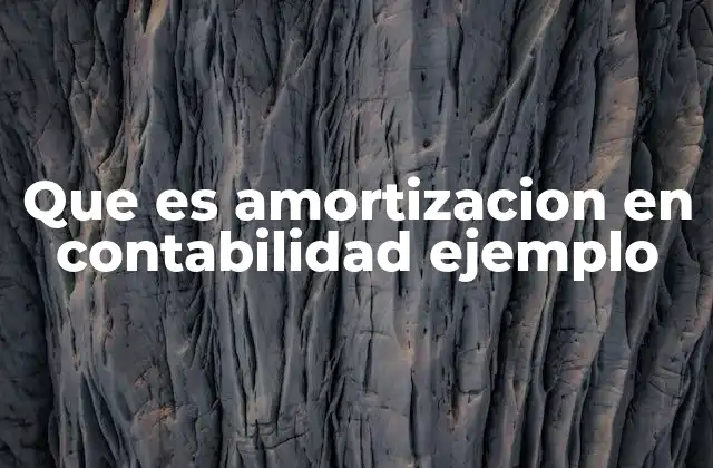 Que es Amortizacion en Contabilidad Ejemplo 2 La amortización como reflejo del valor en libros