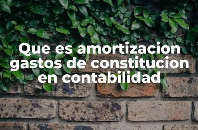 Que es Amortizacion Gastos de Constitucion en Contabilidad