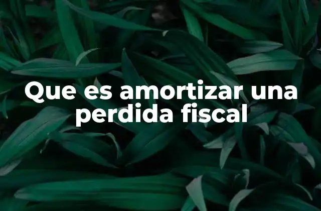 Que es Amortizar una Perdida Fiscal