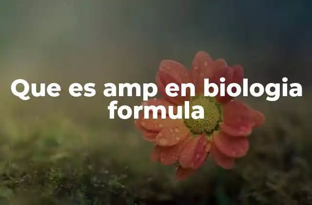 Que es Amp en Biologia Formula