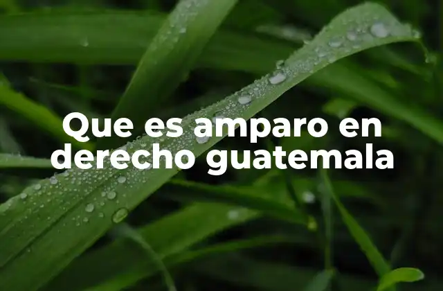 Que es Amparo en Derecho Guatemala