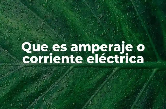 El flujo de electrones y su importancia en los circuitos
