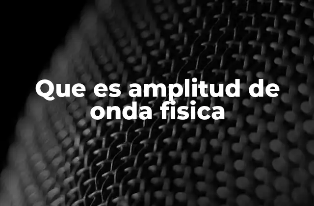 La importancia de la amplitud en la descripción de ondas