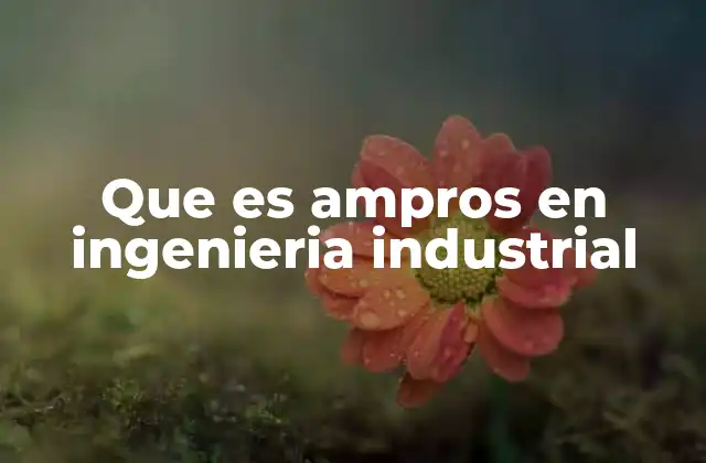 Que es Ampros en Ingenieria Industrial