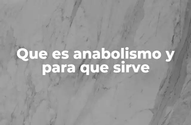 El anabolismo en el contexto del metabolismo celular