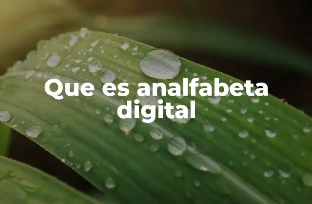 Que es Analfabeta Digital