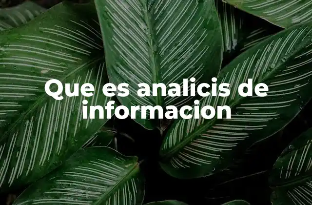 Que es Analicis de Informacion