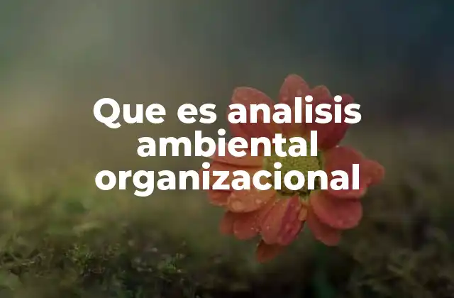 Que es Analisis Ambiental Organizacional