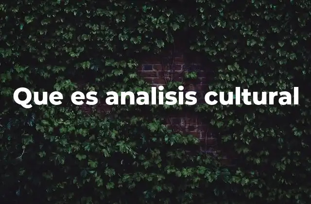 Que es Analisis Cultural
