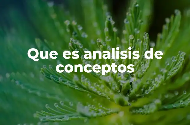 Que es Analisis de Conceptos