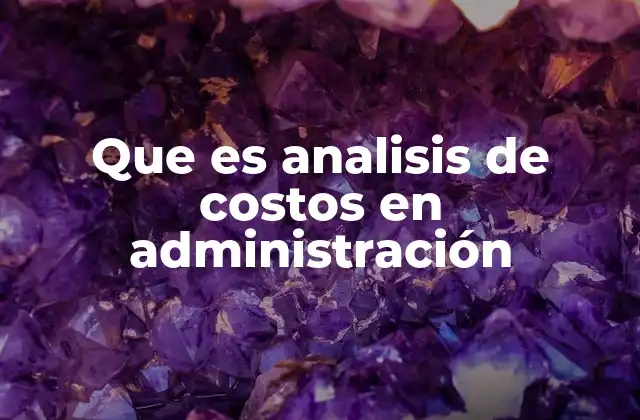 Que es Analisis de Costos en Administración