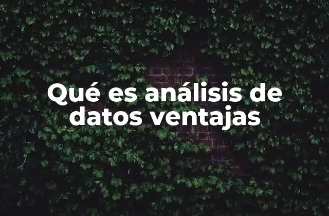 Qué es Análisis de Datos Ventajas