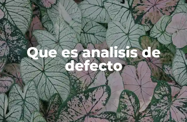 Que es Analisis de Defecto
