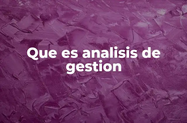 Que es Analisis de Gestion
