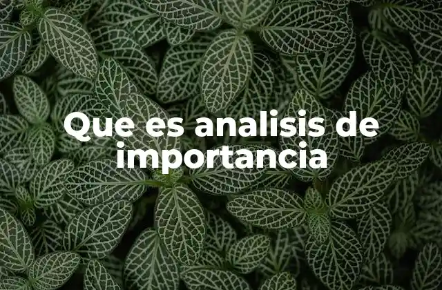 Que es Analisis de Importancia