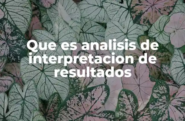 Que es Analisis de Interpretacion de Resultados