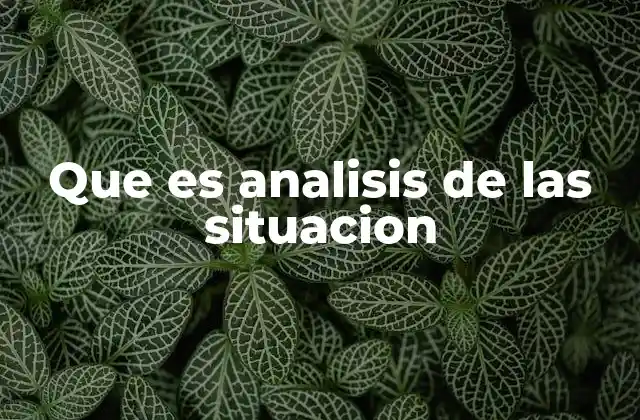Que es Analisis de las Situacion