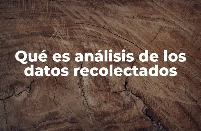 Qué es Análisis de los Datos Recolectados