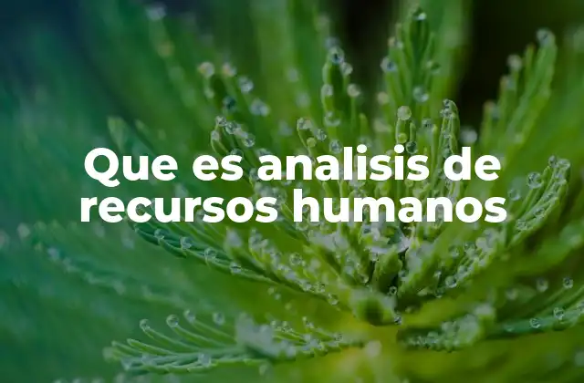 Que es Analisis de Recursos Humanos