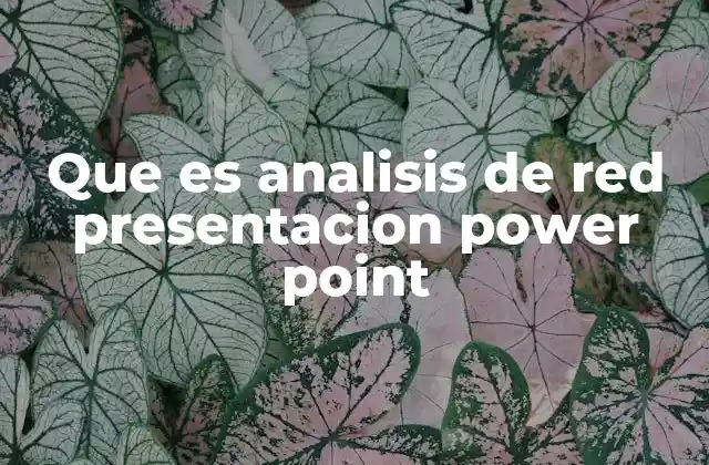 Que es Analisis de Red Presentacion Power Point