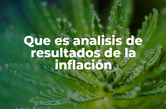 Que es Analisis de Resultados de la Inflación