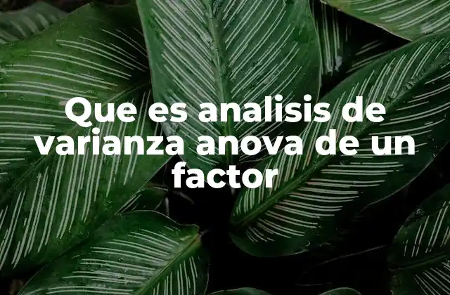 Que es Analisis de Varianza Anova de un Factor
