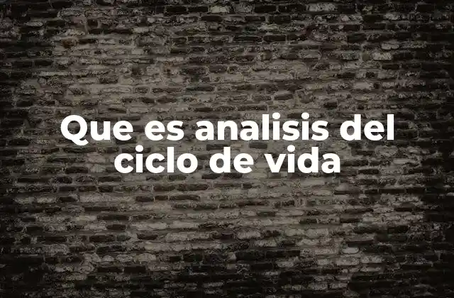 Que es Analisis Del Ciclo de Vida