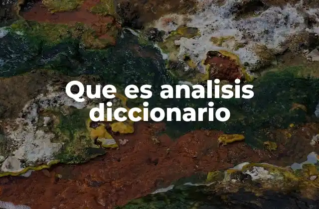 Que es Analisis Diccionario