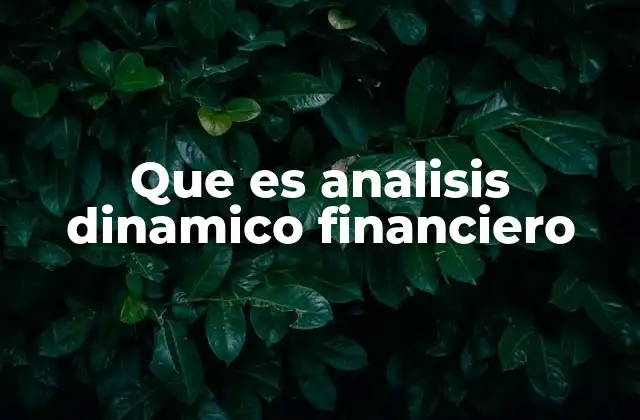 Que es Analisis Dinamico Financiero