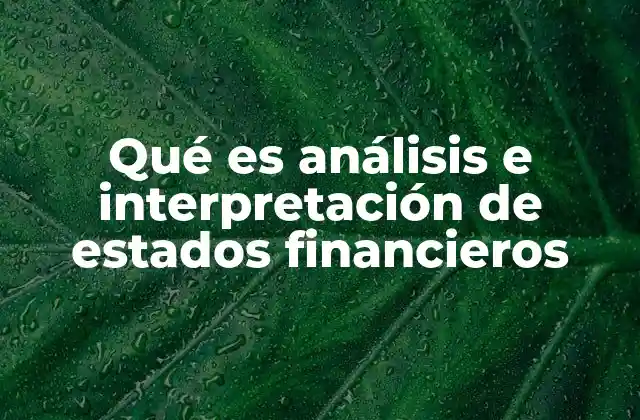 Qué es Análisis e Interpretación de Estados Financieros