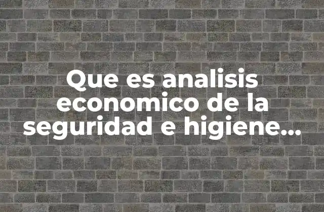 Que es Analisis Economico de la Seguridad e Higiene Industrial