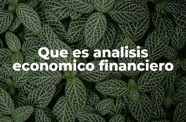 Que es Analisis Economico Financiero