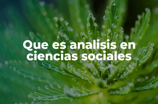 Que es Analisis en Ciencias Sociales