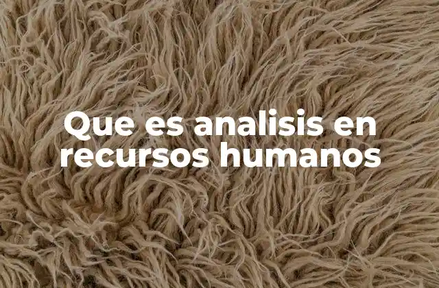 Que es Analisis en Recursos Humanos