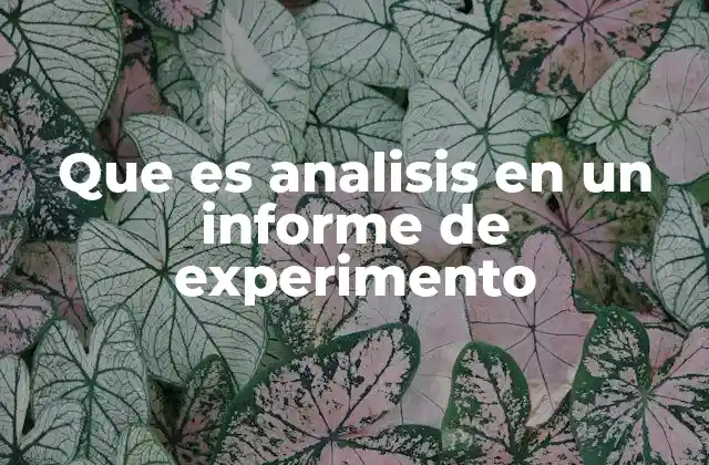 Que es Analisis en un Informe de Experimento