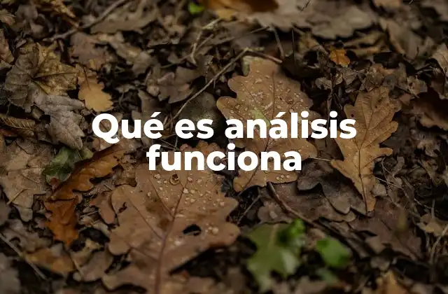 Qué es Análisis Funciona 2 La importancia del análisis en el funcionamiento de sistemas