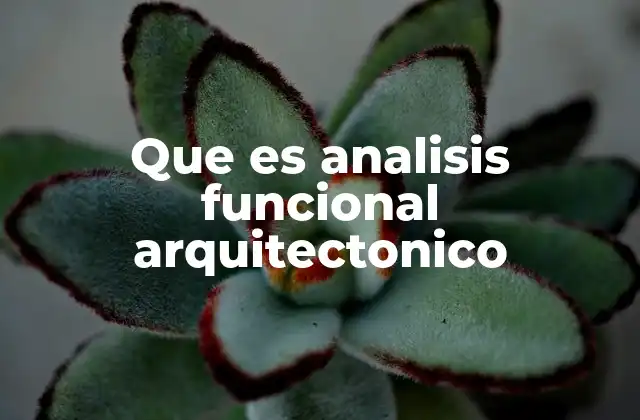 Que es Analisis Funcional Arquitectonico