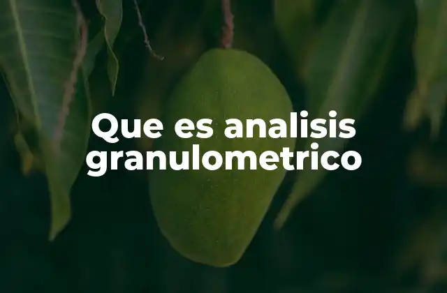 Que es Analisis Granulometrico