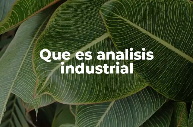 Que es Analisis Industrial
