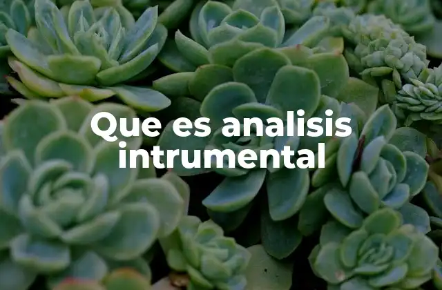 El papel del análisis instrumental en la investigación científica