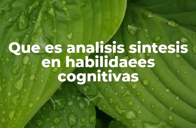 El rol del análisis y la síntesis en el desarrollo cognitivo