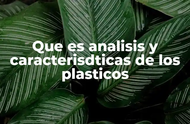 Que es Analisis y Caracterisdticas de los Plasticos