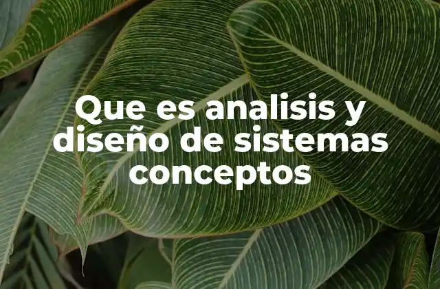 Que es Analisis y Diseño de Sistemas Conceptos