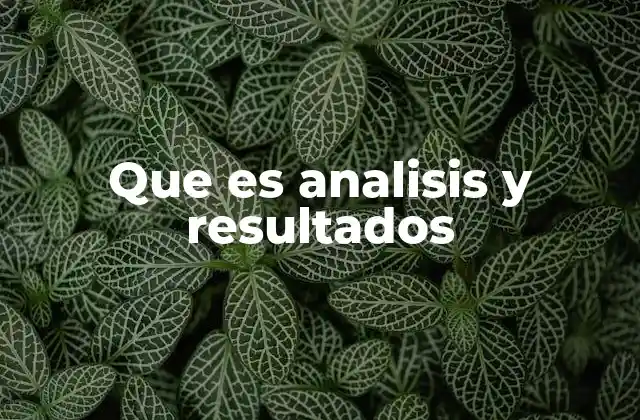 Que es Analisis y Resultados